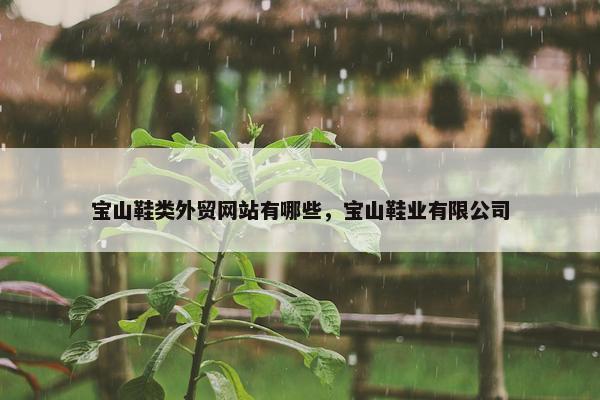 宝山鞋类外贸网站有哪些，宝山鞋业有限公司-第1张图片-冷动云