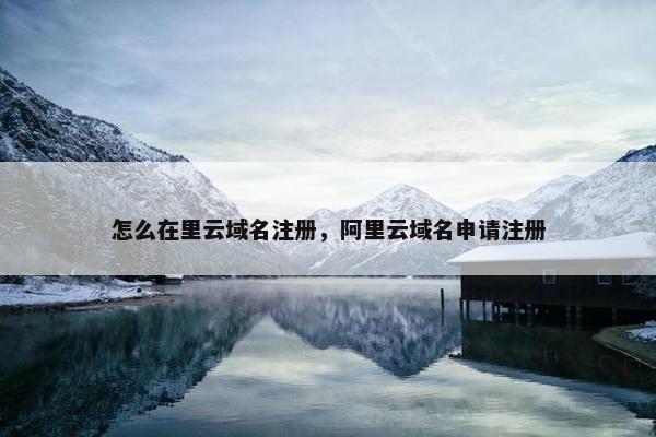 怎么在里云域名注册，阿里云域名申请注册-第1张图片-冷动云