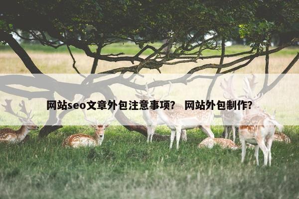 网站seo文章外包注意事项？ 网站外包制作？-第1张图片-冷动云