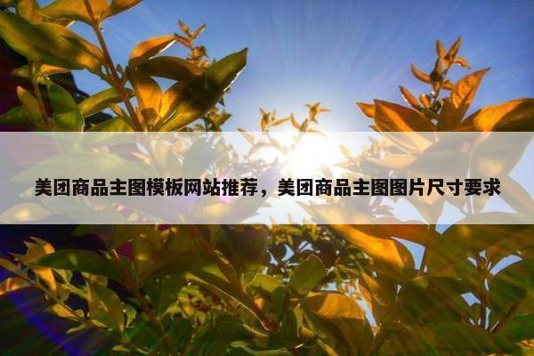 美团商品主图模板网站推荐，美团商品主图图片尺寸要求-第1张图片-冷动云