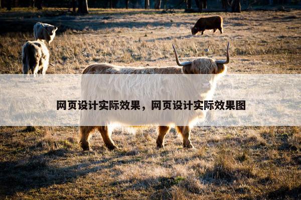 网页设计实际效果，网页设计实际效果图-第1张图片-冷动云