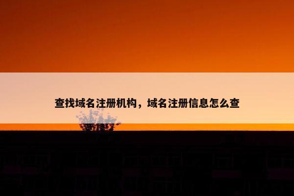 查找域名注册机构，域名注册信息怎么查-第1张图片-冷动云