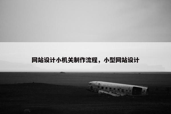 网站设计小机关制作流程，小型网站设计-第1张图片-冷动云