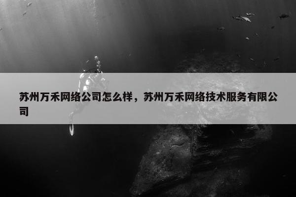 苏州万禾网络公司怎么样，苏州万禾网络技术服务有限公司-第1张图片-冷动云
