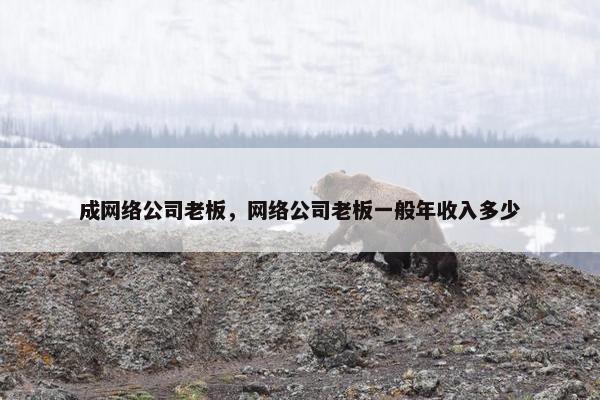 成网络公司老板，网络公司老板一般年收入多少-第1张图片-冷动云