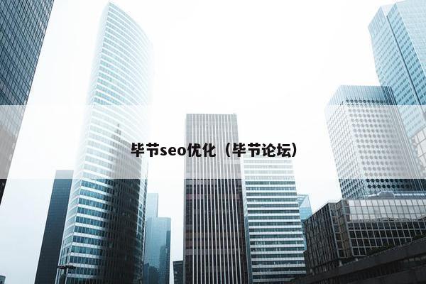 毕节seo优化（毕节论坛）-第1张图片-冷动云