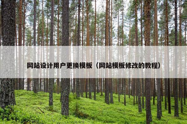 网站设计用户更换模板（网站模板修改的教程）-第1张图片-冷动云