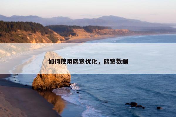 如何使用鸥鹭优化，鸥鹭数据-第1张图片-冷动云