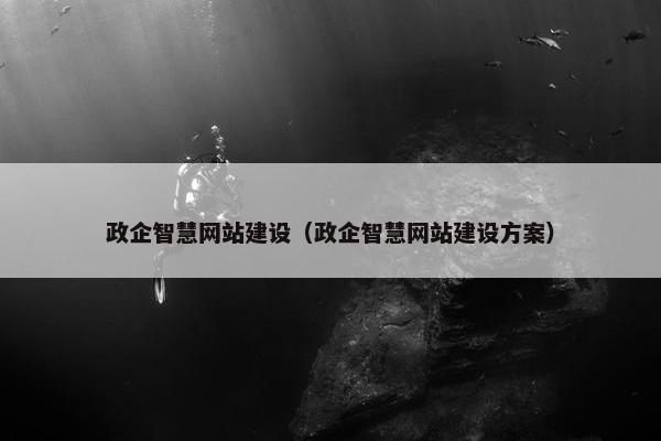 政企智慧网站建设（政企智慧网站建设方案）-第1张图片-冷动云