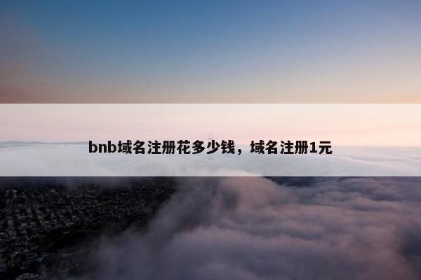 bnb域名注册花多少钱，域名注册1元-第1张图片-冷动云