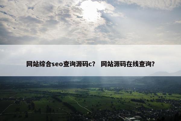 网站综合seo查询源码c？ 网站源码在线查询？-第1张图片-冷动云