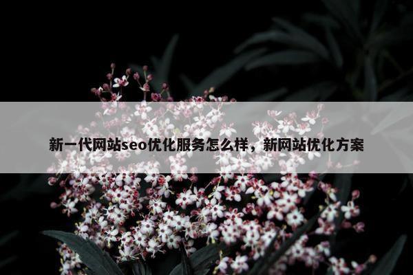 新一代网站seo优化服务怎么样，新网站优化方案-第1张图片-冷动云