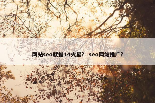 网站seo就推14火星？ seo网站推广？-第1张图片-冷动云