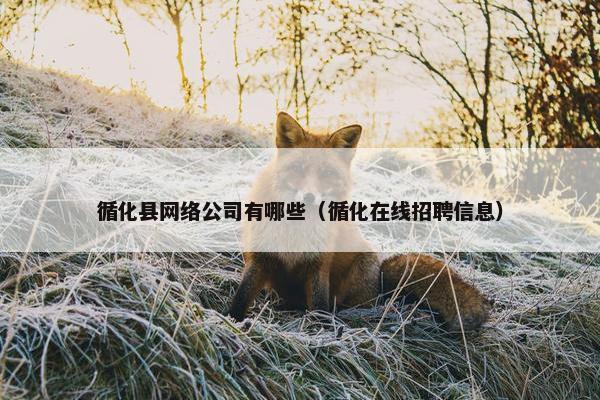 循化县网络公司有哪些（循化在线招聘信息）-第1张图片-冷动云