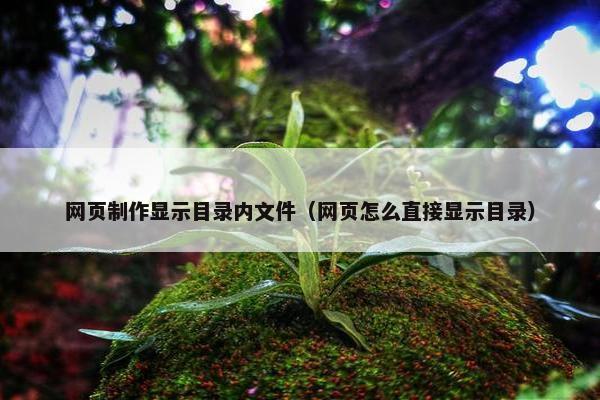 网页制作显示目录内文件（网页怎么直接显示目录）-第1张图片-冷动云