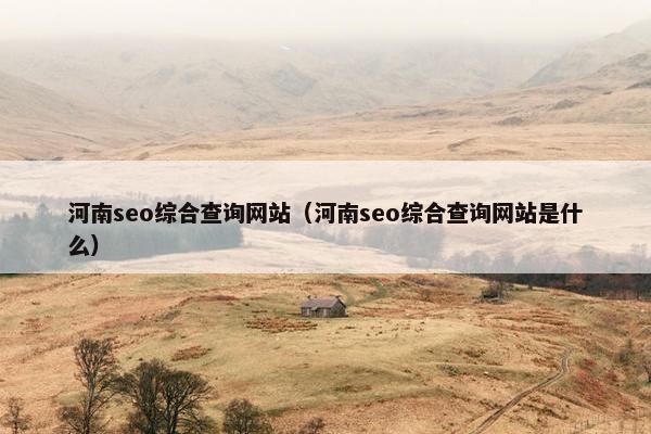 河南seo综合查询网站（河南seo综合查询网站是什么）-第1张图片-冷动云