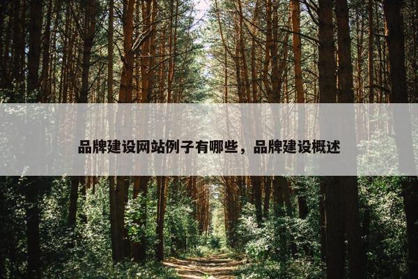 品牌建设网站例子有哪些，品牌建设概述-第1张图片-冷动云