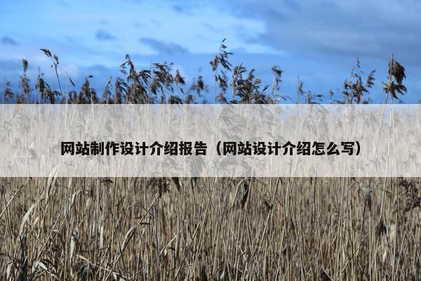 网站制作设计介绍报告（网站设计介绍怎么写）-第1张图片-冷动云