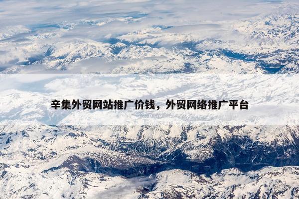 辛集外贸网站推广价钱，外贸网络推广平台-第1张图片-冷动云