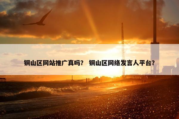 铜山区网站推广真吗？ 铜山区网络发言人平台？-第1张图片-冷动云