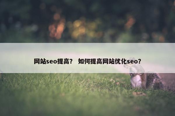 网站seo提高？ 如何提高网站优化seo？-第1张图片-冷动云