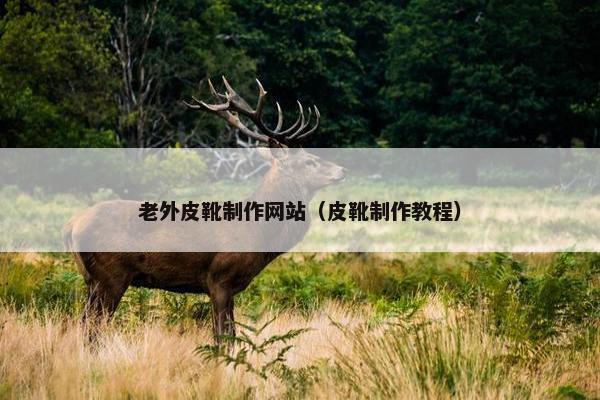 老外皮靴制作网站（皮靴制作教程）-第1张图片-冷动云