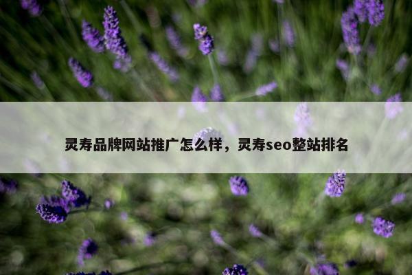 灵寿品牌网站推广怎么样，灵寿seo整站排名-第1张图片-冷动云