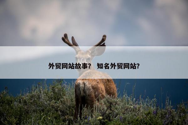 外贸网站故事？ 知名外贸网站？-第1张图片-冷动云
