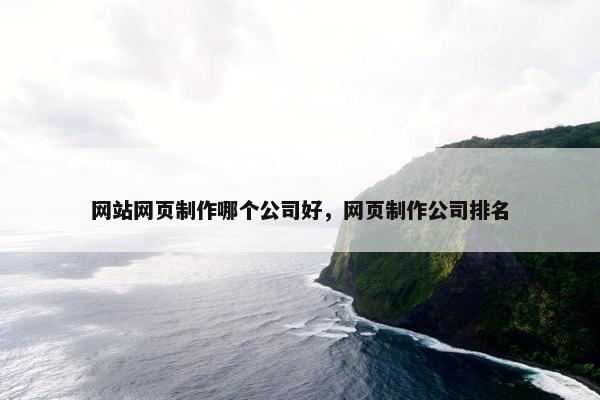 网站网页制作哪个公司好，网页制作公司排名-第1张图片-冷动云