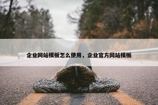企业网站模板怎么使用，企业官方网站模板-第1张图片-冷动云