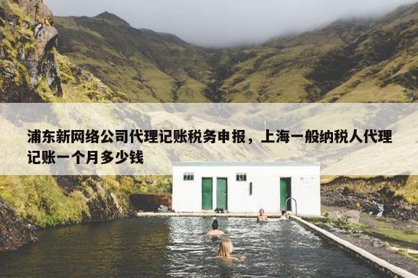 浦东新网络公司代理记账税务申报，上海一般纳税人代理记账一个月多少钱-第1张图片-冷动云
