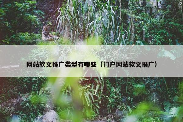 网站软文推广类型有哪些（门户网站软文推广）-第1张图片-冷动云