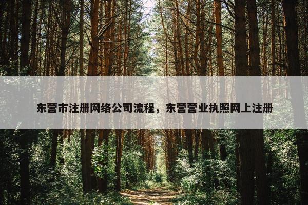 东营市注册网络公司流程，东营营业执照网上注册-第1张图片-冷动云