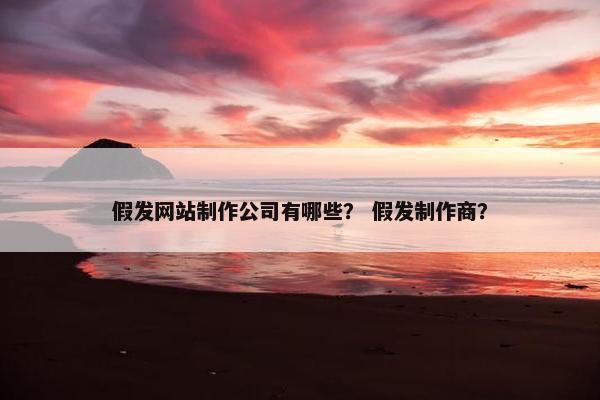 假发网站制作公司有哪些？ 假发制作商？-第1张图片-冷动云