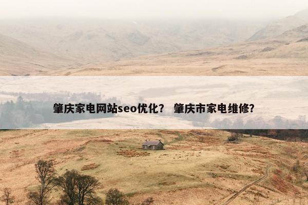 肇庆家电网站seo优化？ 肇庆市家电维修？-第1张图片-冷动云
