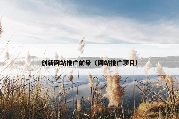 创新网站推广前景（网站推广项目）-第1张图片-冷动云