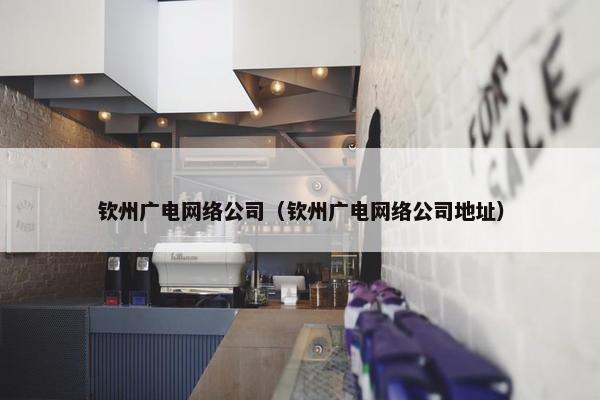 钦州广电网络公司（钦州广电网络公司地址）-第1张图片-冷动云