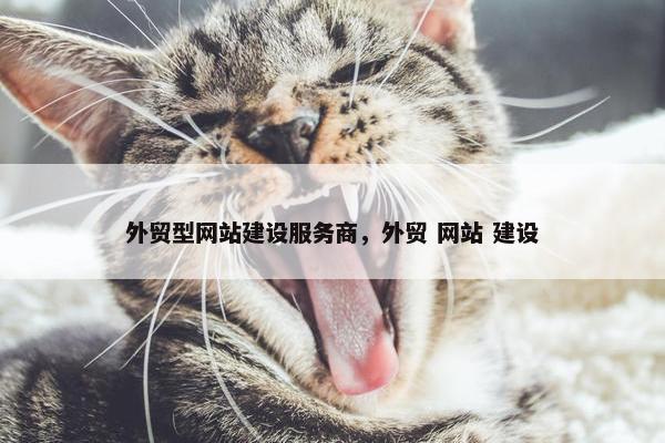 外贸型网站建设服务商，外贸 网站 建设-第1张图片-冷动云