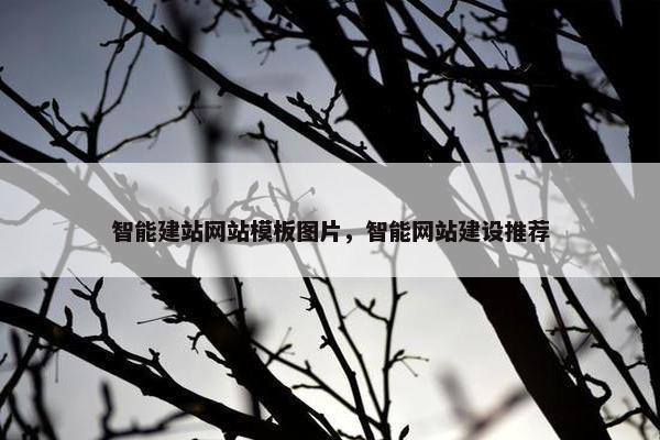 智能建站网站模板图片，智能网站建设推荐-第1张图片-冷动云