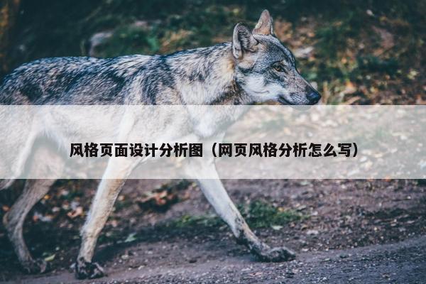 风格页面设计分析图（网页风格分析怎么写）-第1张图片-冷动云