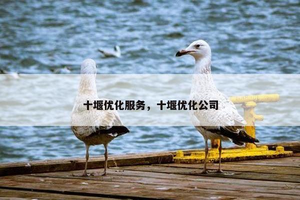 十堰优化服务，十堰优化公司-第1张图片-冷动云