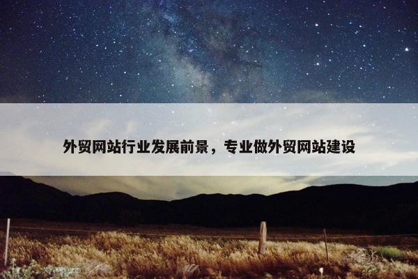 外贸网站行业发展前景，专业做外贸网站建设-第1张图片-冷动云