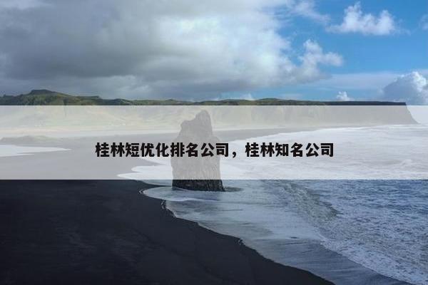 桂林短优化排名公司，桂林知名公司-第1张图片-冷动云