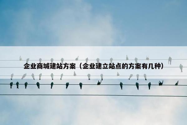 企业商城建站方案（企业建立站点的方案有几种）-第1张图片-冷动云