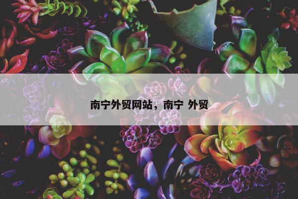 南宁外贸网站，南宁 外贸-第1张图片-冷动云