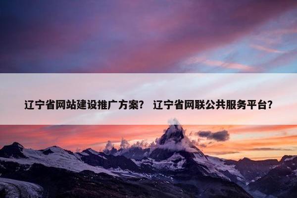 辽宁省网站建设推广方案？ 辽宁省网联公共服务平台？-第1张图片-冷动云