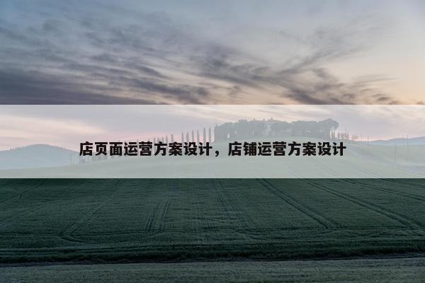 店页面运营方案设计，店铺运营方案设计-第1张图片-冷动云