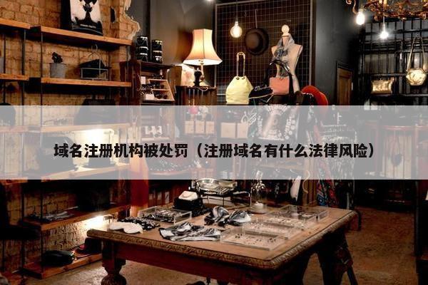 域名注册机构被处罚（注册域名有什么法律风险）-第1张图片-冷动云