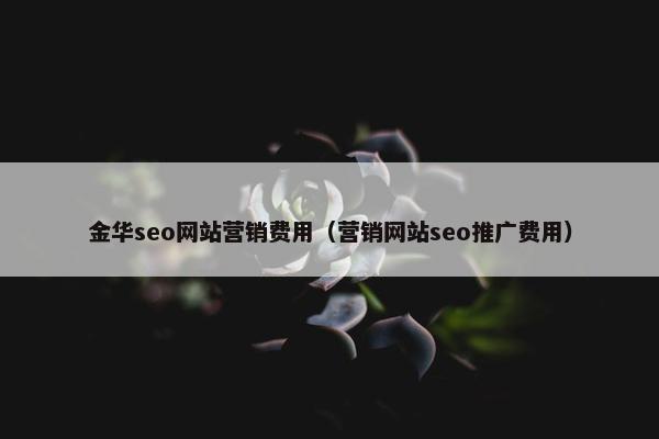 金华seo网站营销费用（营销网站seo推广费用）-第1张图片-冷动云