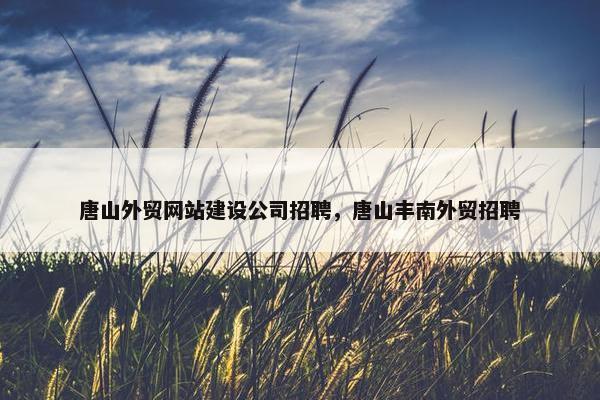 唐山外贸网站建设公司招聘，唐山丰南外贸招聘-第1张图片-冷动云